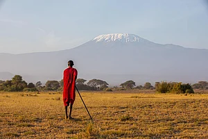 Shutterstock : A Maasai warrior walking across the savanna with Mount Kilimanjaro in the backdrop