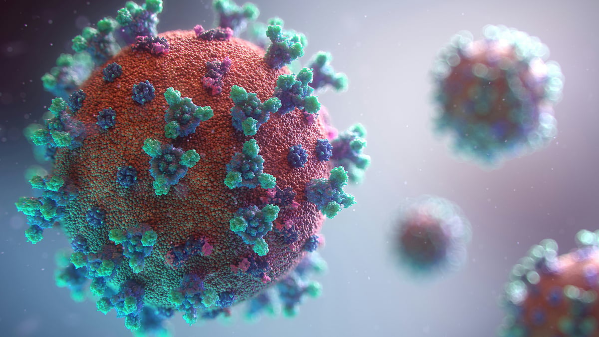 (Representational Image) Hantavirus remains low risk globally, but this incident is drawing close scientific scrutiny