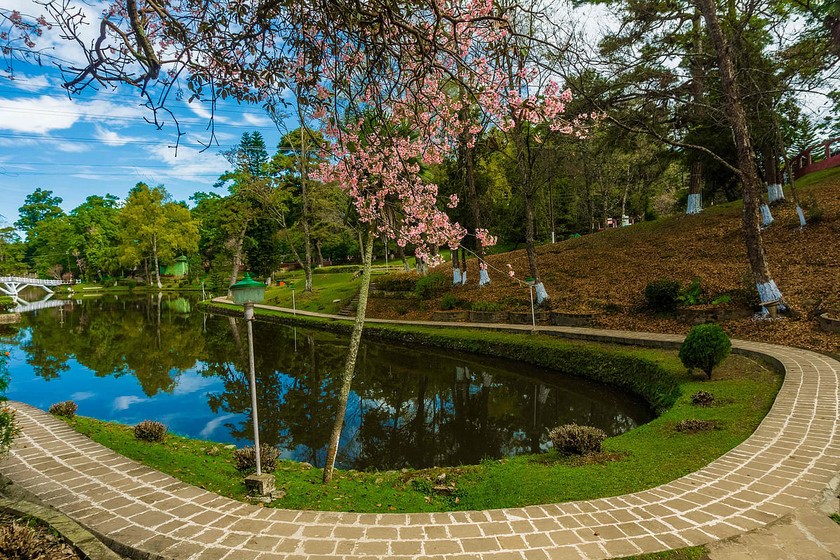 Shillong Literary Festival 2026 Prelude Brings Meghalaya’s Culture And Tourism Focus To Delhi