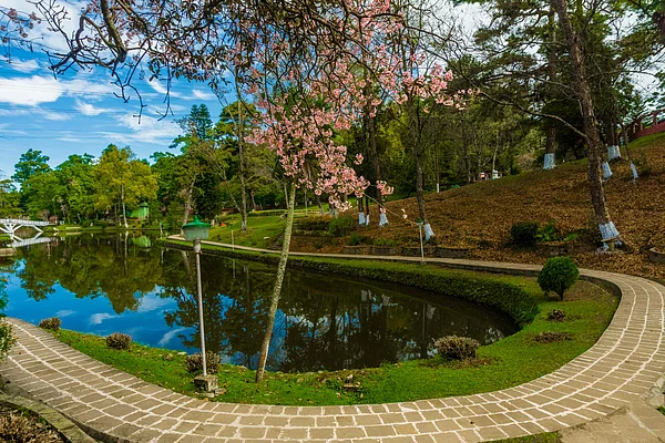 Shutterstock : Ward’s Lake in Shillong, Meghalaya