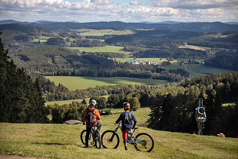 Cycling through Lipno’s gentle hills and forested valleys