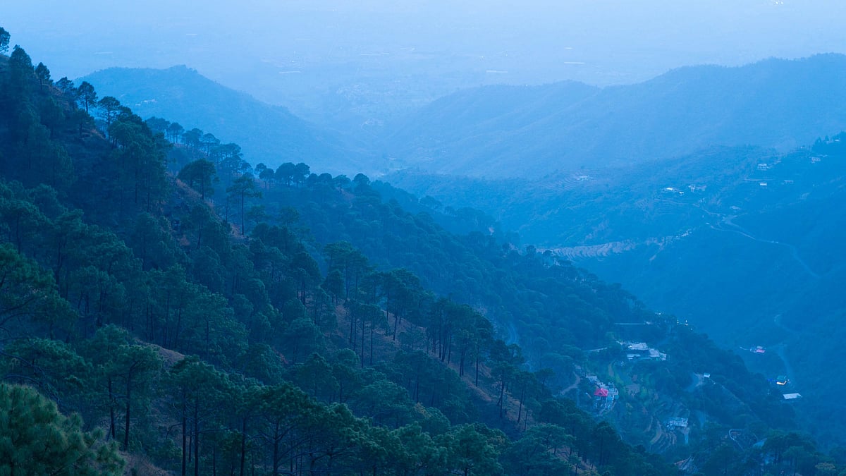 Kasauli’s mountain landscape glows softly during the blue hour