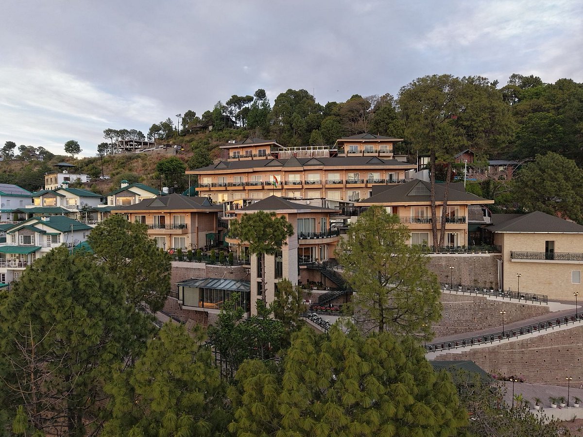 Treetop by Eight Continents – RoyalPine Kasauli