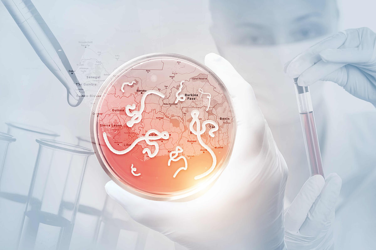 A microscopic view of the Ebola virus