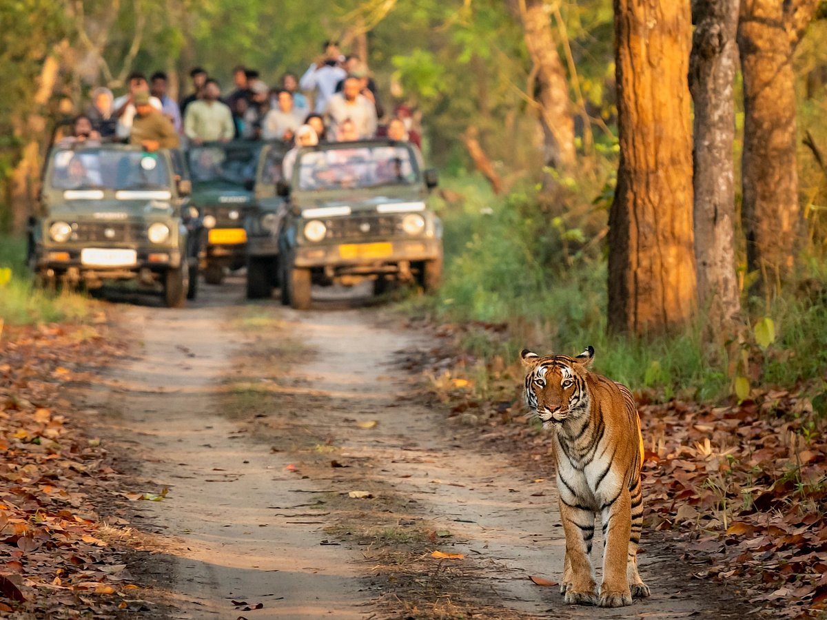 Open-top jeeps and campers are being phased out 