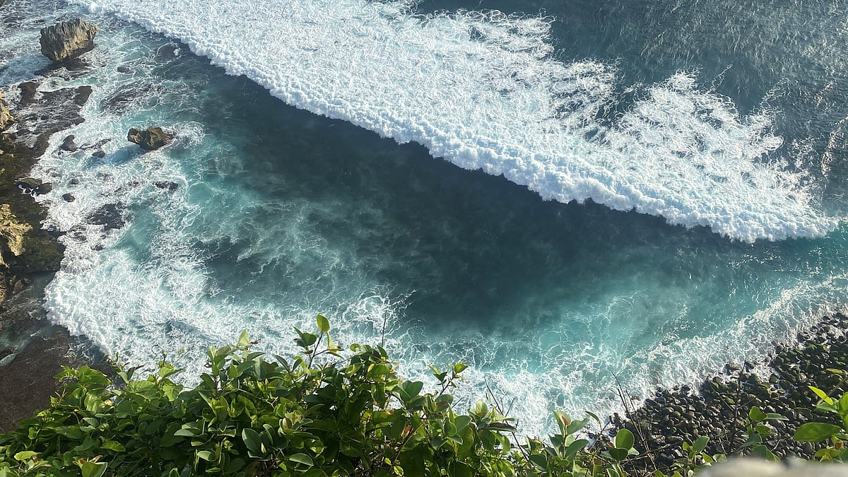 View from the cliff