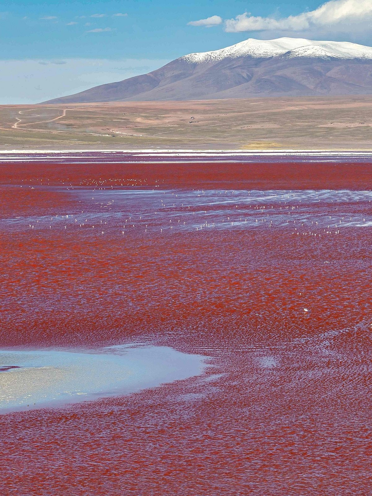 Unsplash : These breathtaking pink beaches and lakes around the world look straight out of a fantasy