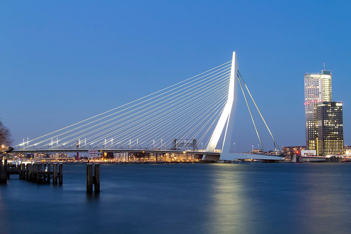 Erasmus Bridge in Rotterdam