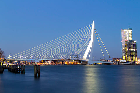 Erasmus Bridge in Rotterdam