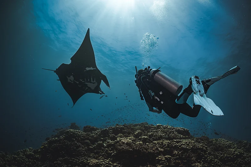 Deep-sea diving conducted by certified operators following strict safety and environmental guidelines is generally considered safe for trained participants and recreational divers