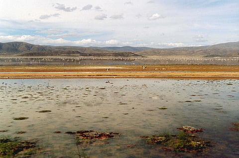 Lake Poopó once formed a vital wetland for wildlife and nearby indigenous communities