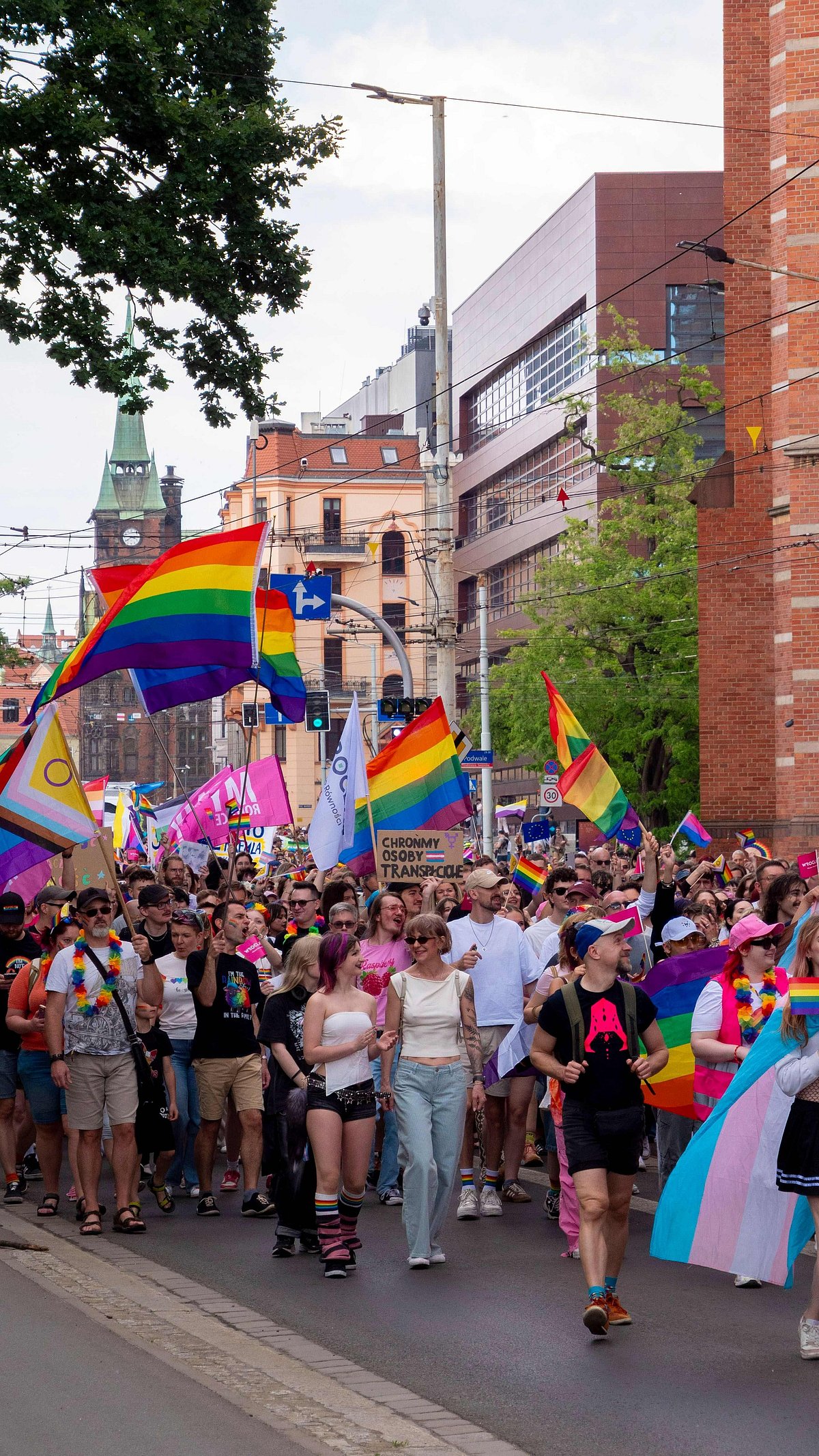 Pexels : Vibrant pride parade celebration in Wrocław
