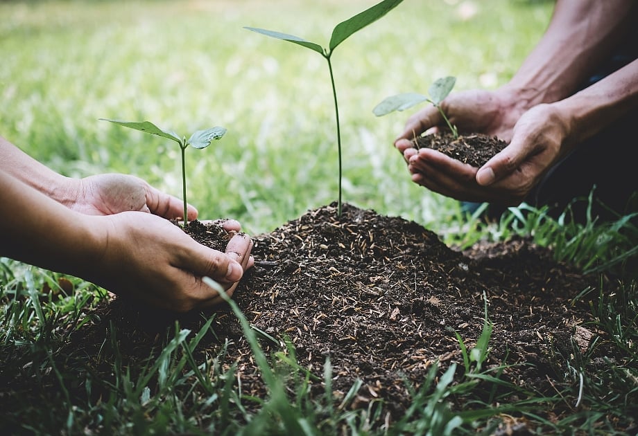 Shutterstock : World Environment Day