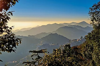 Shutterstock : Misty forests blanket the hills of Mussoorie and Landour
