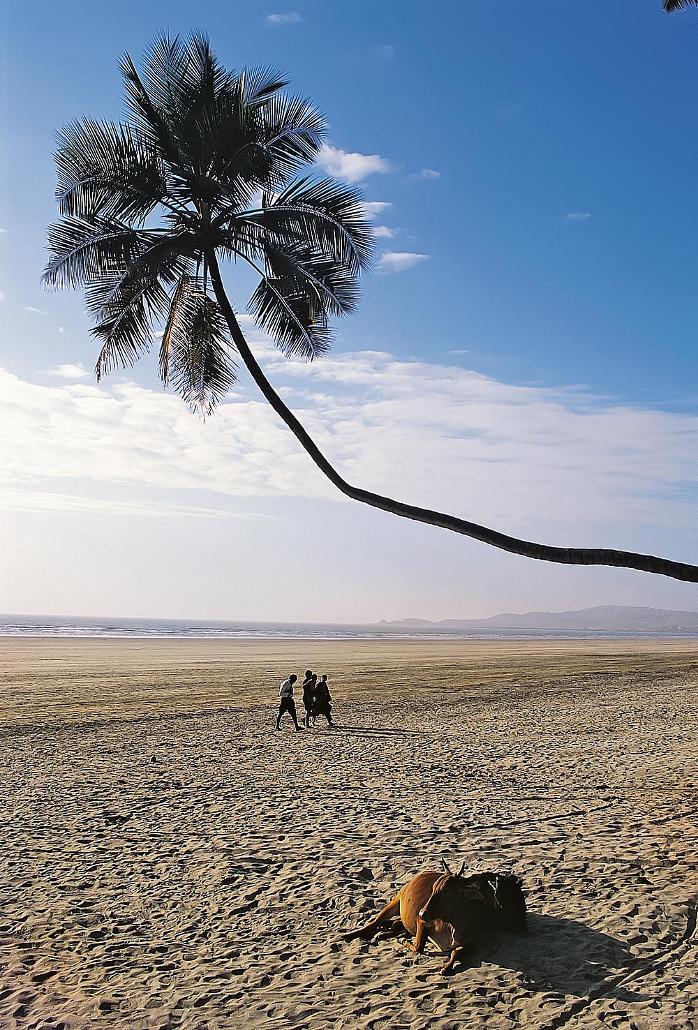 Raigad/Maharashtra: Murud Beach on Maharashtra’s Konkan coast, where fishing boats, local settlements and the Arabian Sea frame a shoreline tied to trade, travel, seafood traditions and everyday coastal life