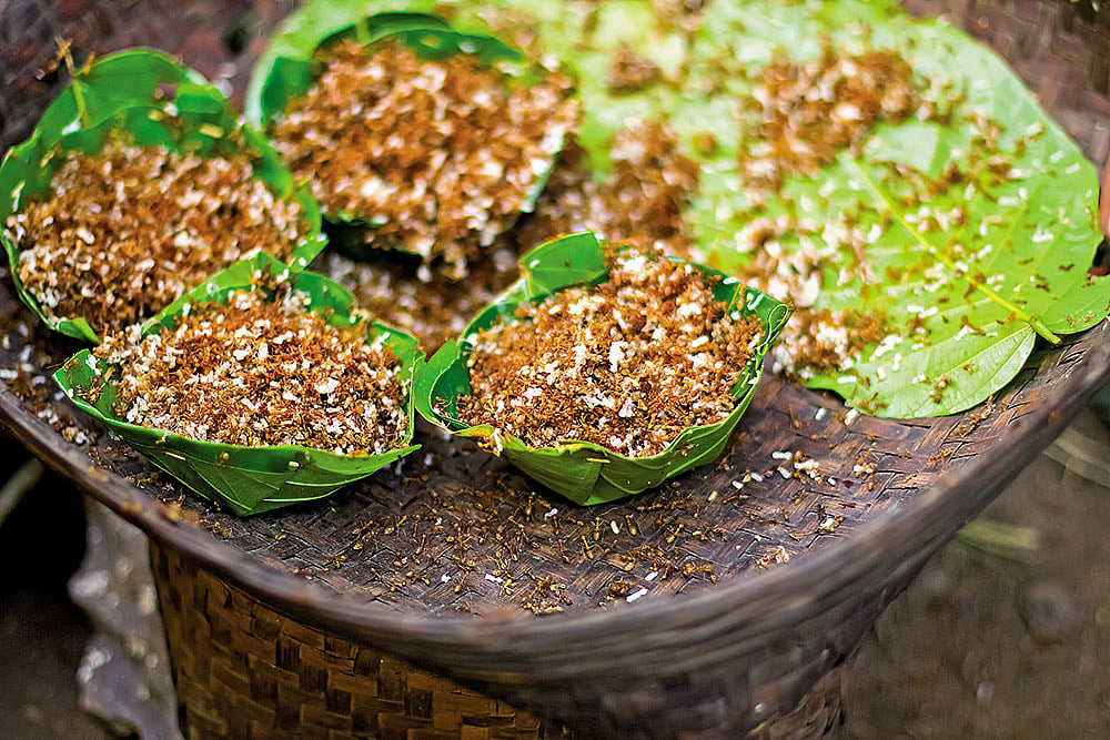 Indigenous red ant chutney from eastern India