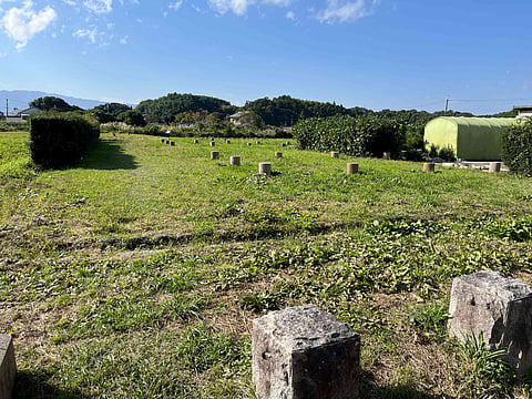 The ruins of Asuka Palace, once the political heart of ancient Japan