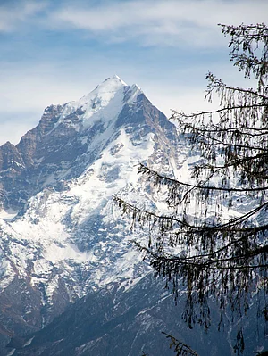 Shutterstock : Kuari pass trek, Auli, Uttarakhand