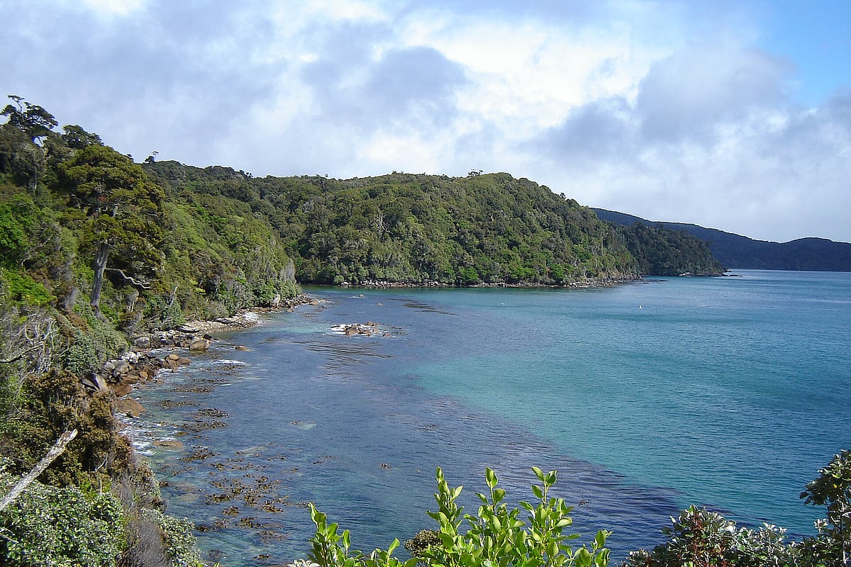 Wildman NZ/Wiki Commons : Just 30 kilometres off the southern coast of the South Island lies Stewart Island—or Rakiura, as it is known in te reo Māori