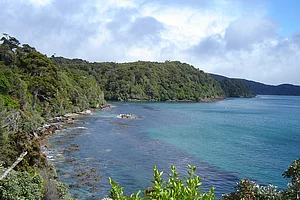 Wildman NZ/Wiki Commons : Just 30 kilometres off the southern coast of the South Island lies Stewart Island—or Rakiura, as it is known in te reo Māori