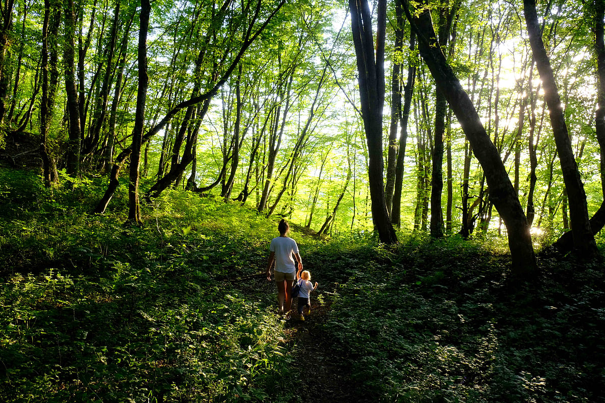 Nature, movement and mindfulness are becoming central to hospitality.