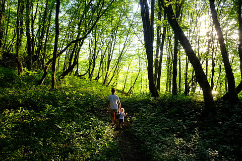 Nature, movement and mindfulness are becoming central to hospitality.
