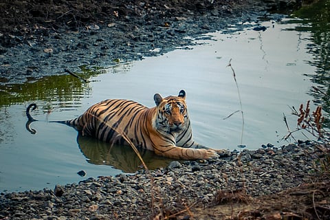 Luxury, nature and authentic experiences remain central to the Tathastu philosophy