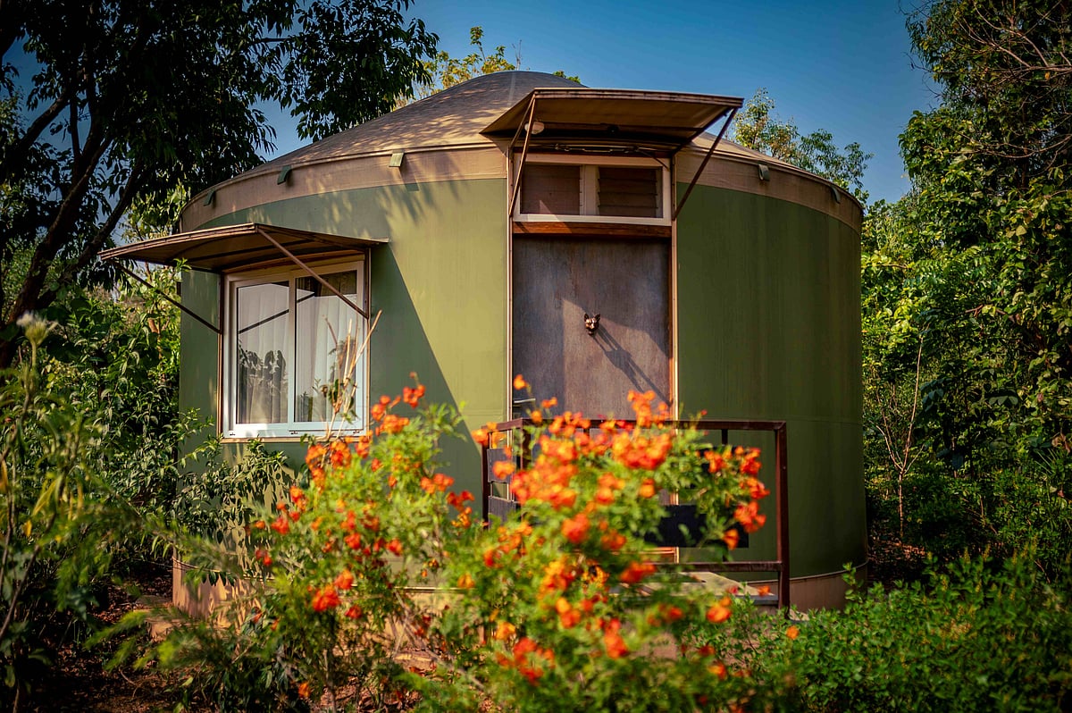 Supplied : A chance beginning eventually grew into a multi-destination wildlife hospitality brand