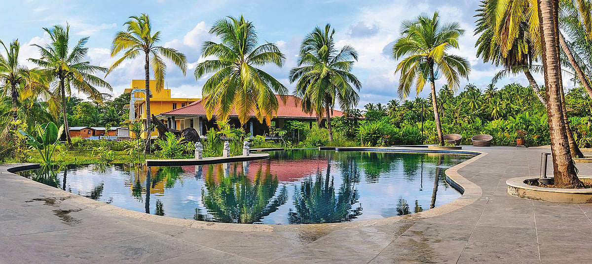 A forest-fringed island escape on Havelock Island in the Andamans