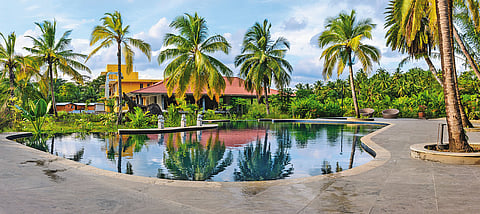 A forest-fringed island escape on Havelock Island in the Andamans