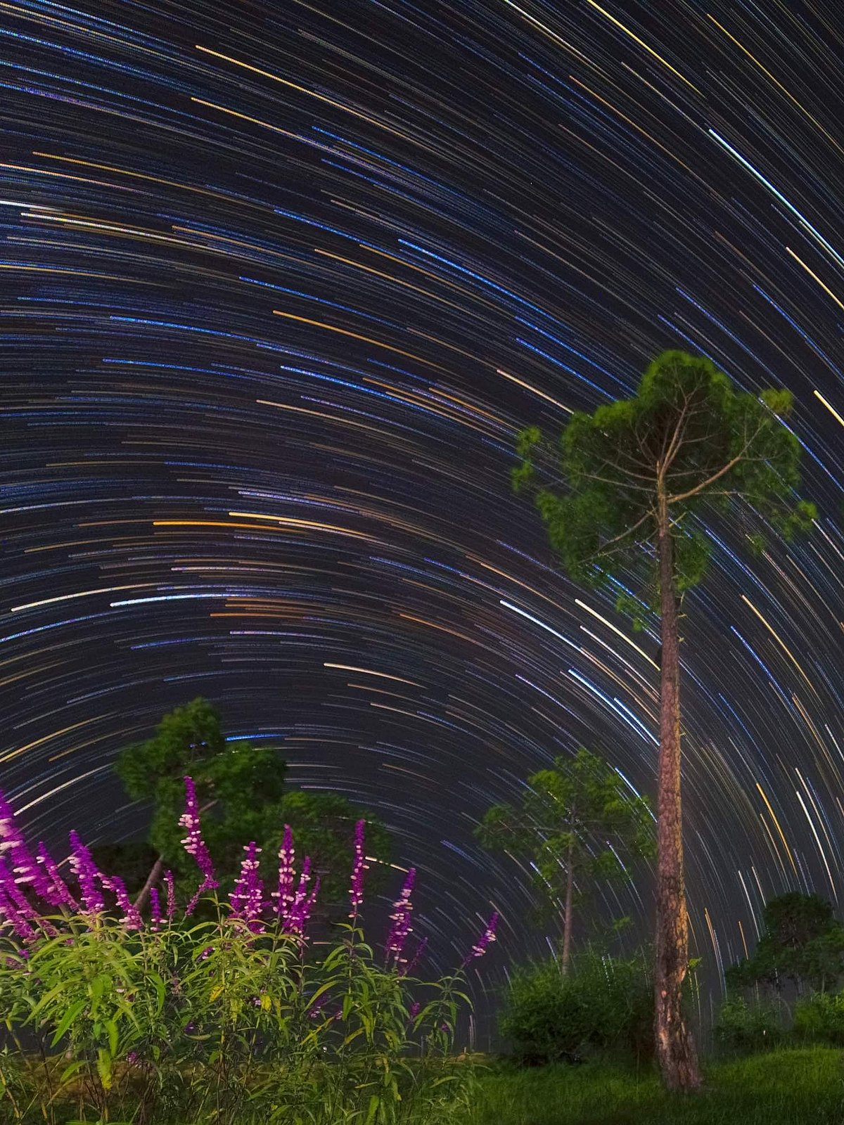 Shikhar Gupta : Explore Indias top stargazing spots