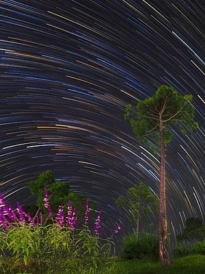 Shikhar Gupta : Explore Indias top stargazing spots
