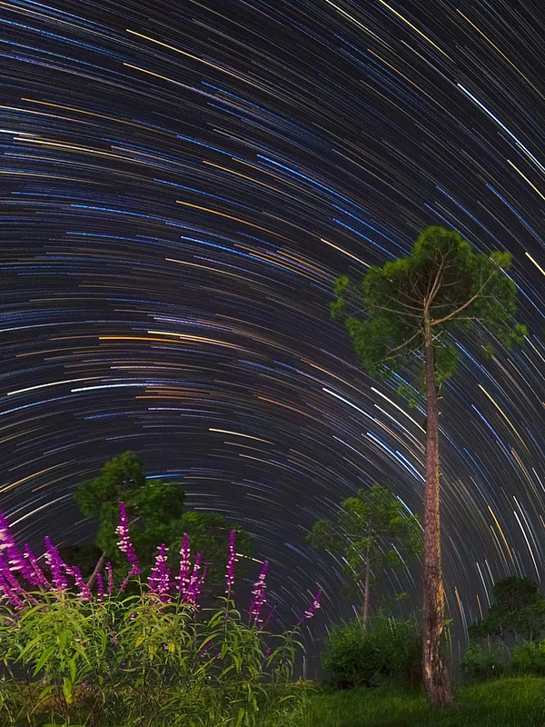 Shikhar Gupta : Explore Indias top stargazing spots