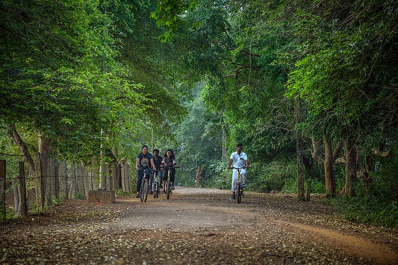 When local communities thrive, wildlife tourism becomes more sustainable, meaningful, and resilient