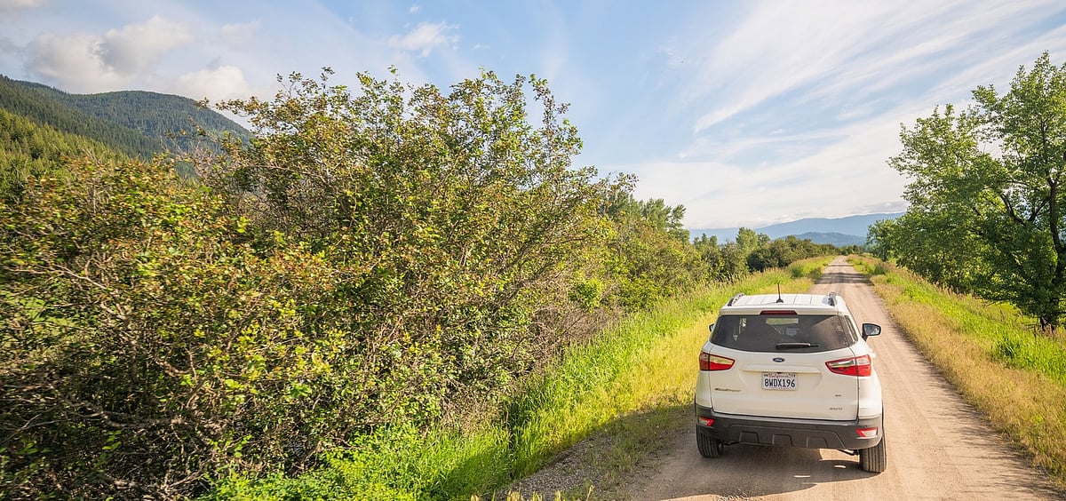 Discover the landscapes, cultures and communities that define the American road trip