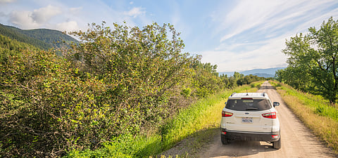 Discover the landscapes, cultures and communities that define the American road trip
