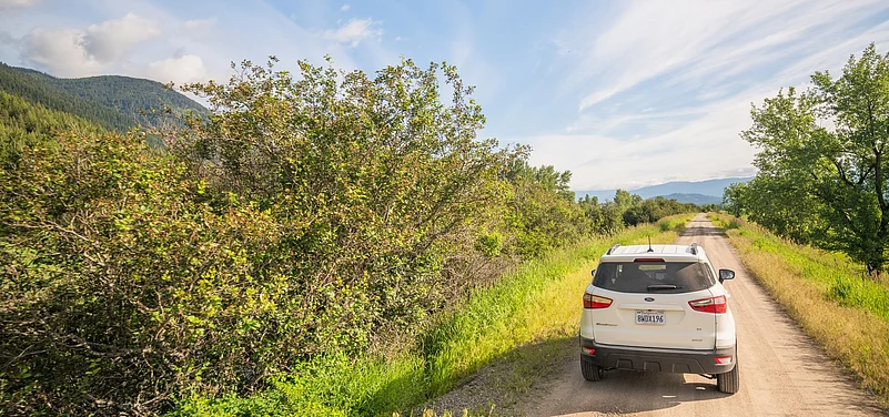 Discover the landscapes, cultures and communities that define the American road trip