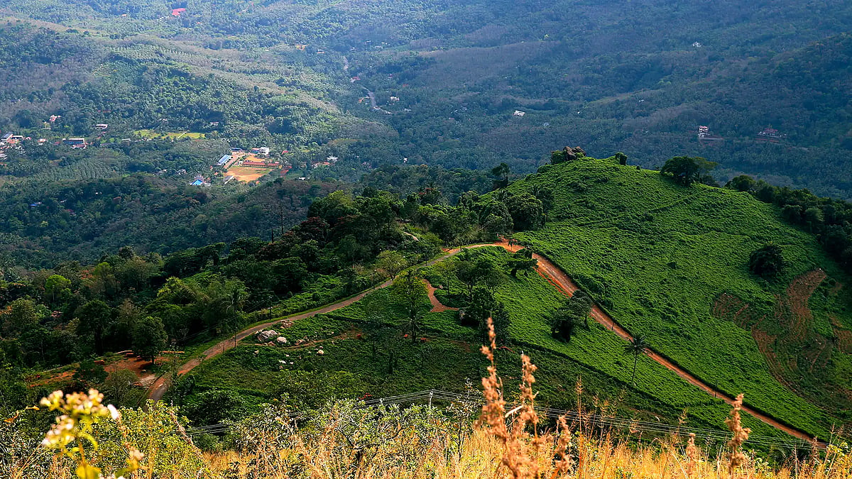 Associated with the folklore of Neeli in Kerala, shrines and traditions across Kannur, reflect how a legendary spirit became a revered protective deity over time.