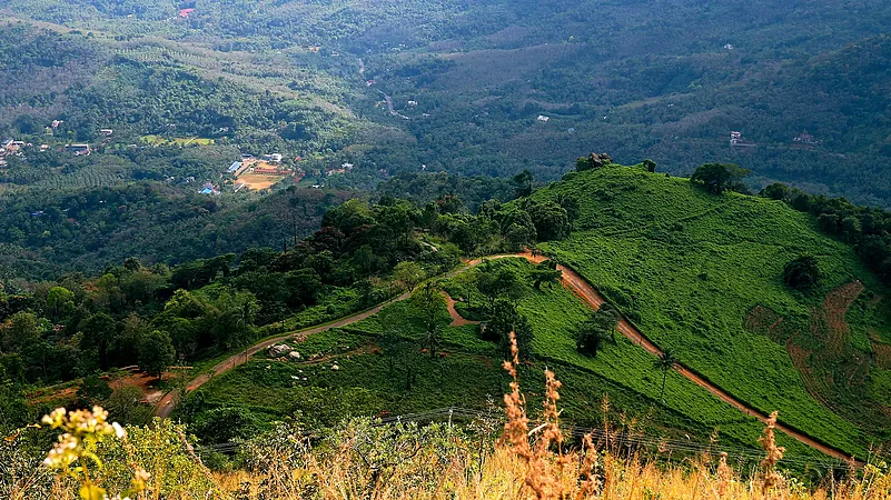 Associated with the folklore of Neeli in Kerala, shrines and traditions across Kannur, reflect how a legendary spirit became a revered protective deity over time.