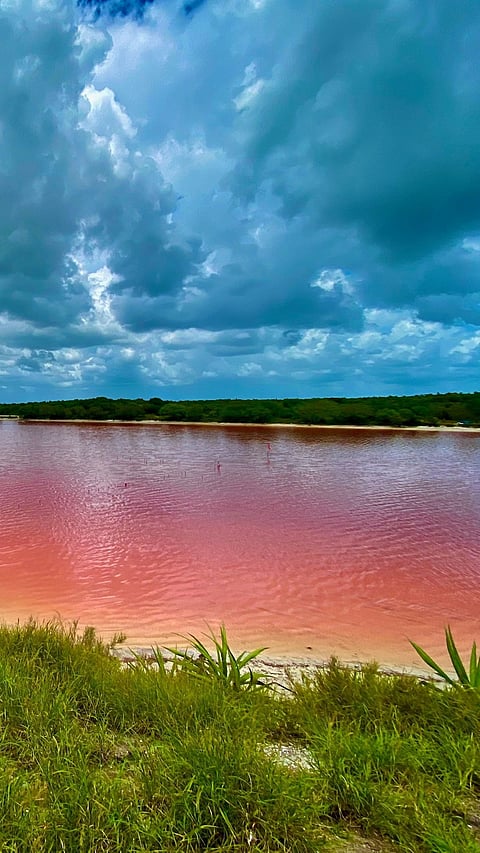 Las Coloradas, Mexico