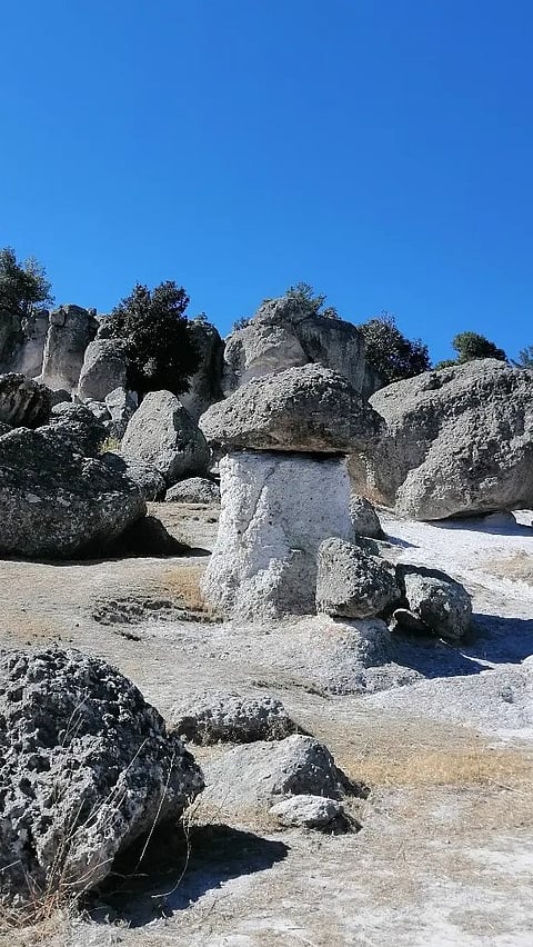 Valle de los Hongos