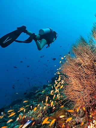 Shutterstock : Top ten scuba diving destinations around the world