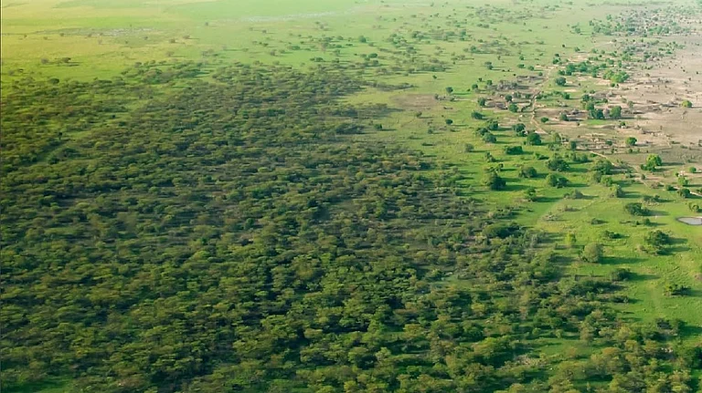 The Great Green Wall located in Africa’s Sahel zone - Image Credit: Instagram/@unccd and @greatgreenwallafrica