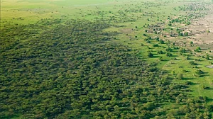 Image Credit: Instagram/@unccd and @greatgreenwallafrica : The Great Green Wall located in Africa’s Sahel zone