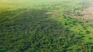Image Credit: Instagram/@unccd and @greatgreenwallafrica : The Great Green Wall located in Africa’s Sahel zone