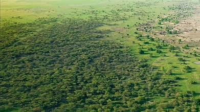 Image Credit: Instagram/@unccd and @greatgreenwallafrica : The Great Green Wall located in Africa’s Sahel zone
