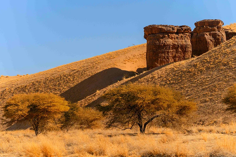 The Sahels sprawling steppe landscape
