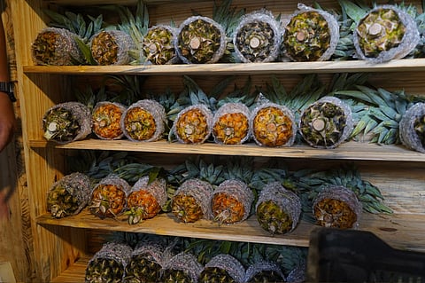 Meghalaya Pineapple Festival