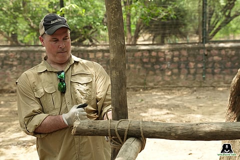 Volunteers tying logs for platform enrichment for sloth bears