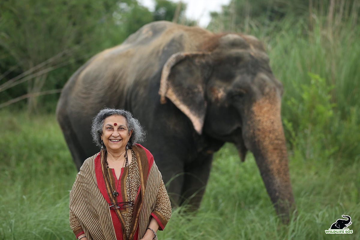 Geeta Seshamani, co-founder and secretary of Wildlife SOS